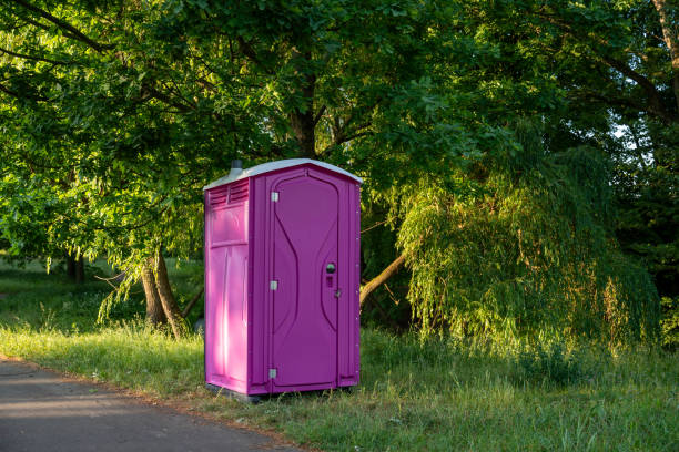 Best Local porta potty services  in Niwot, CO